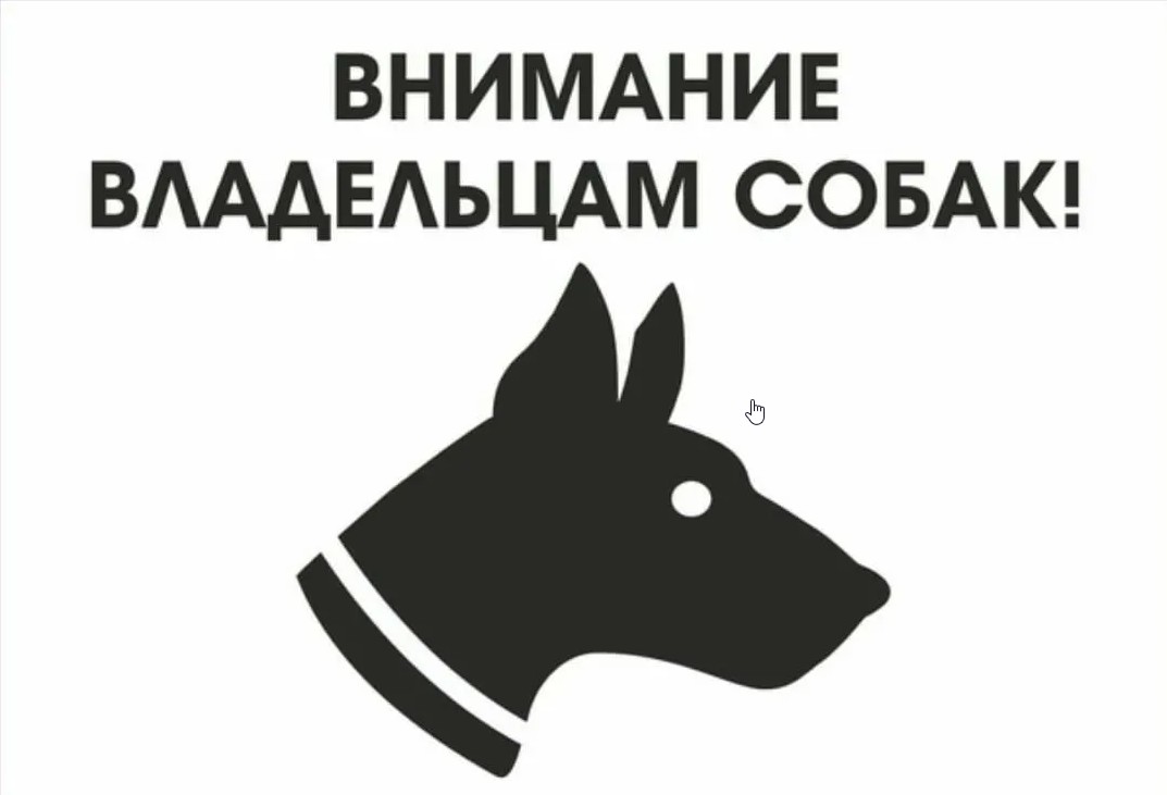 Правила выгула домашних животных.