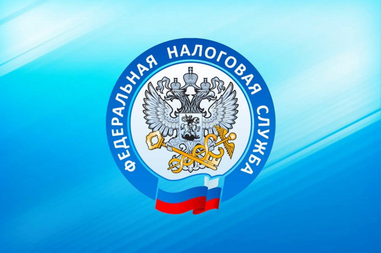 Предпринимателям о заполнении деклараций в электронном виде. Предпринимателям о заполнении деклараций в электронном виде.